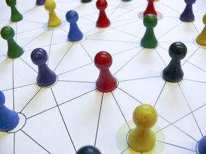 开云体育下载-中国篮球教练员专业能力提升路径，篮球教练员的专业技能包括哪些方面