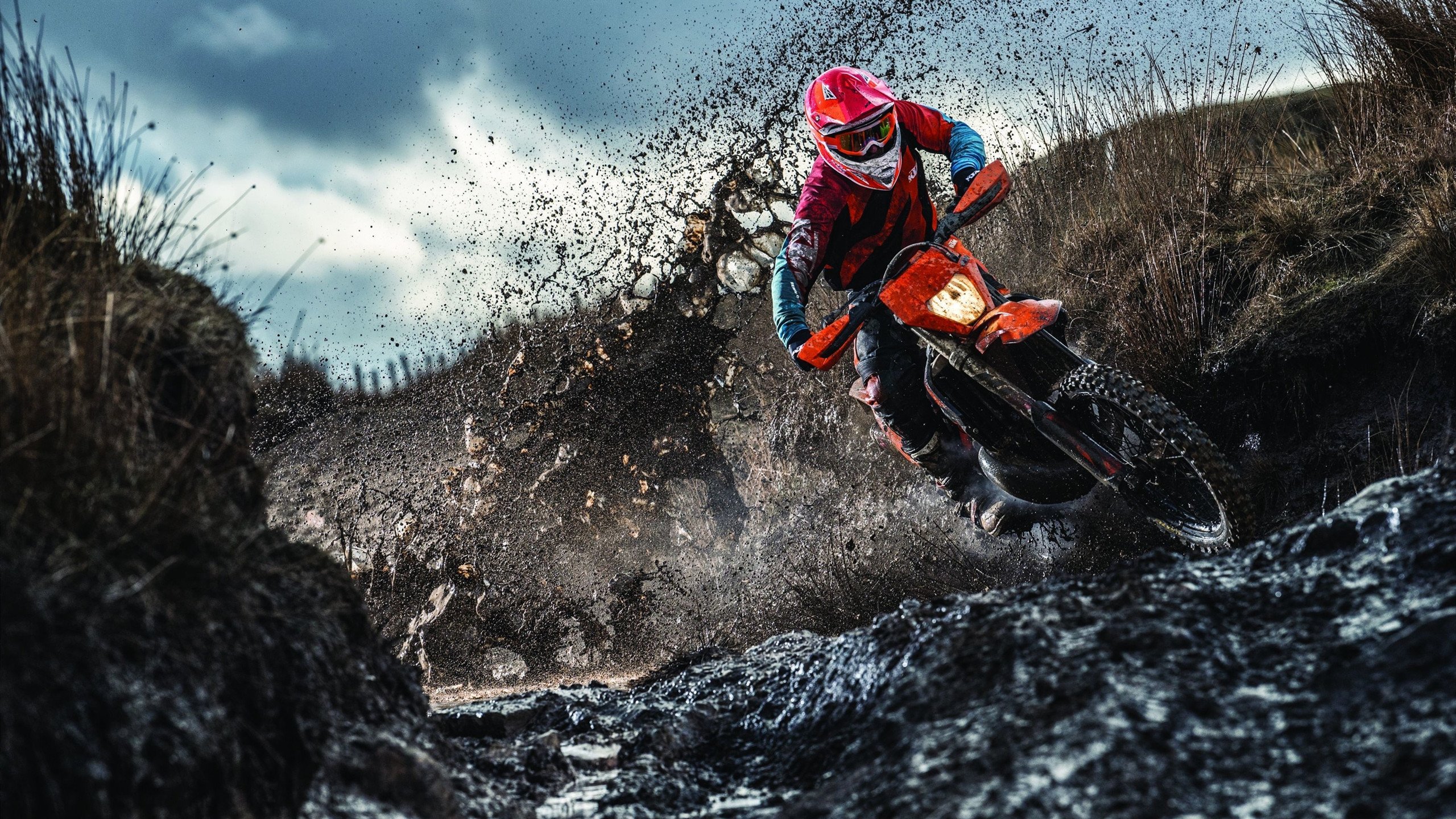 全国青少年长跑比赛在武汉激情上演，武汉长跑赛事